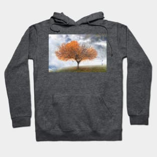 Forever Autumn Hoodie